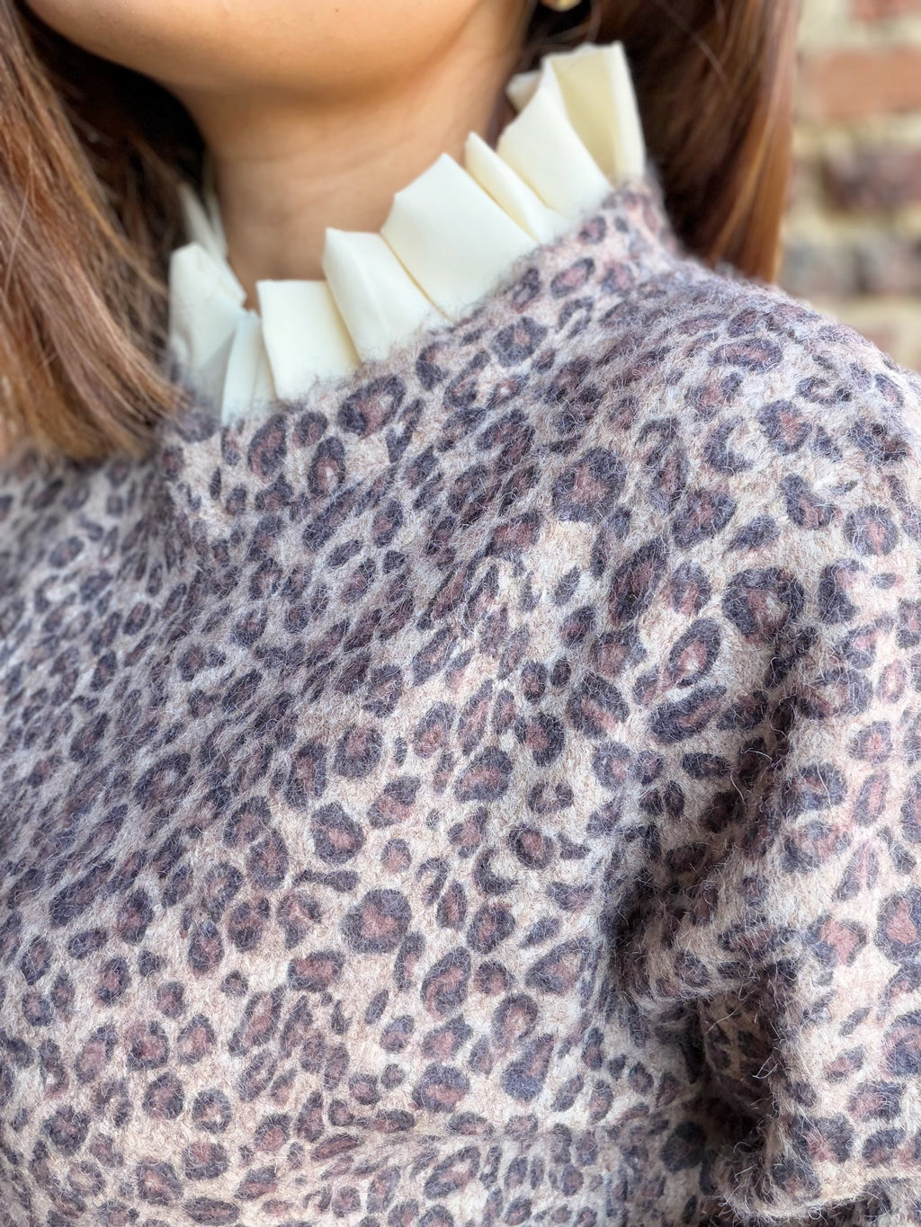 Pull léopard