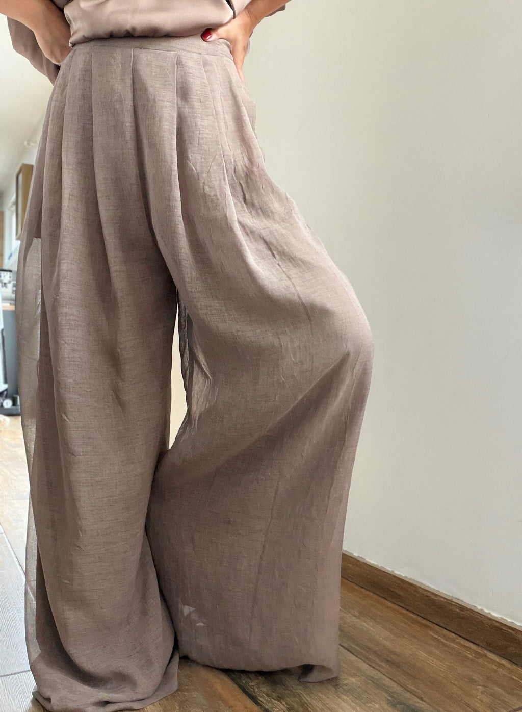 Pantalon à pinces semi transparent