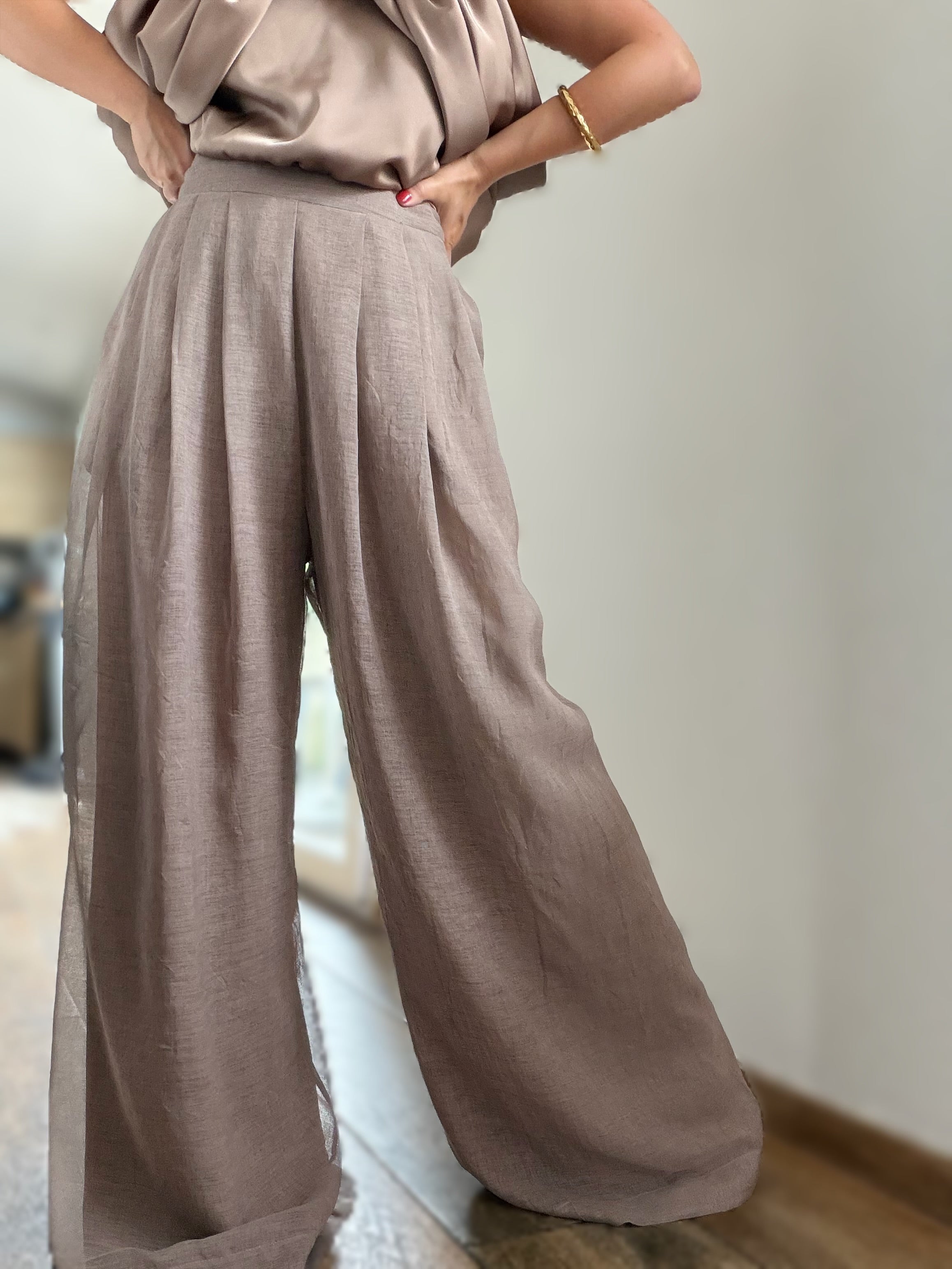 Pantalon à pinces semi transparent